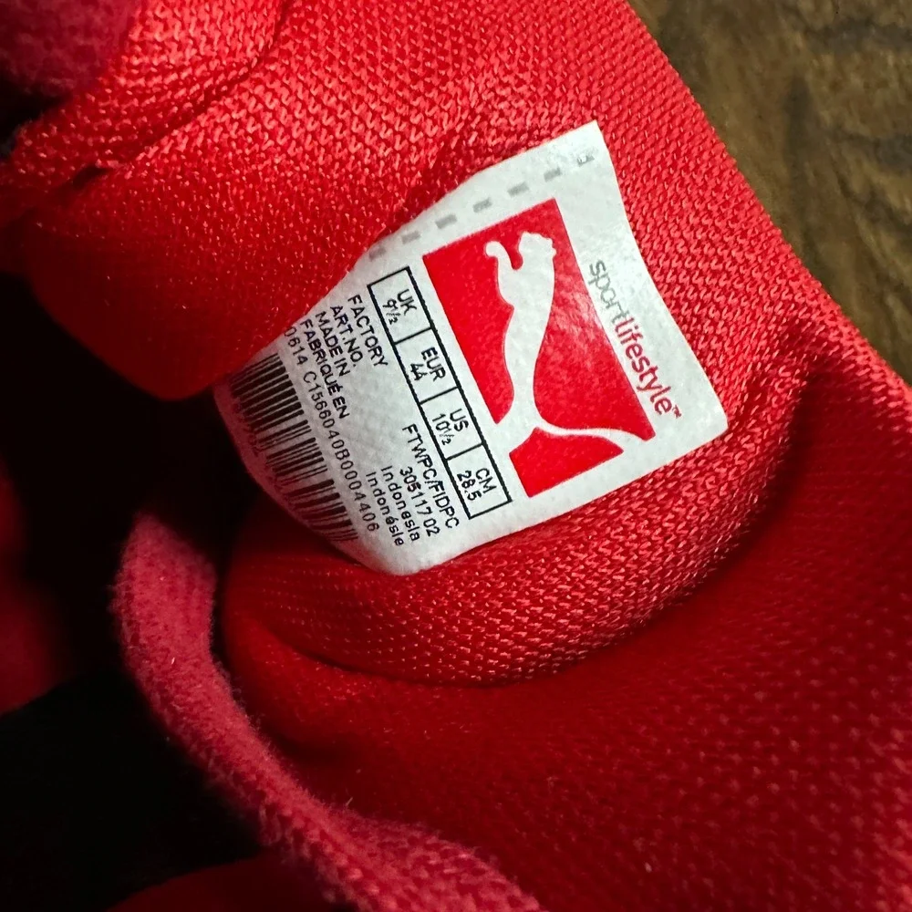 Puma gigante lo